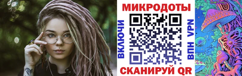 где купить наркоту Лесной Галлюциногенные грибы Psilocybe